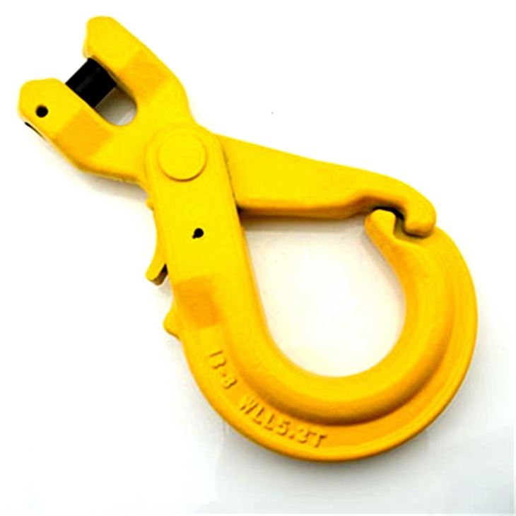 Good User Reputation for Die Close Body Turnbuckle - G80 European Type Painted Clevis Self Locking Lifting Hooks – Rui De Tai