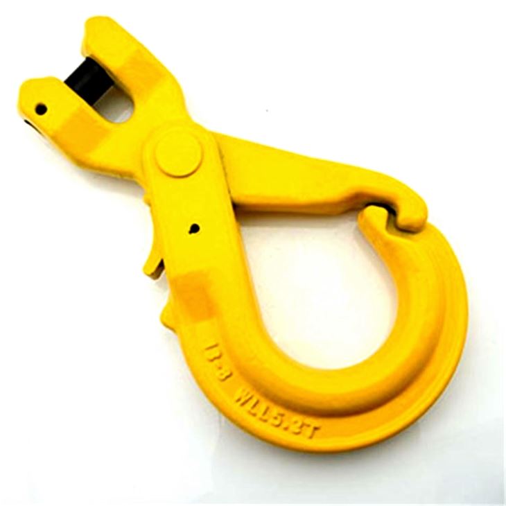 2017 High quality Double Ended Snap Hooks -
 G80 European Type Painted Clevis Self Locking Lifting Hooks – Rui De Tai