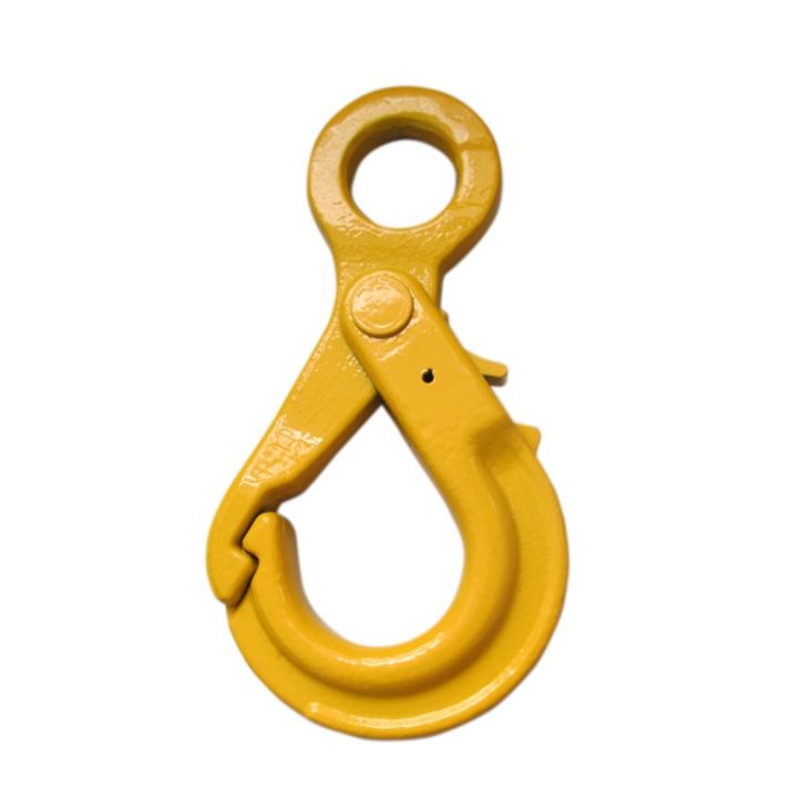 Super Lowest Price Grade S Bow Shackle -
 G80 European Type Painted Eye Self Locking Lifting Hooks – Rui De Tai