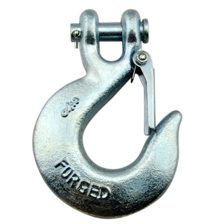 China Factory for Stainless Steel Small D Shackle - 5/16 Galvanized Clevis Slip Hooks with Safety Latch – Rui De Tai