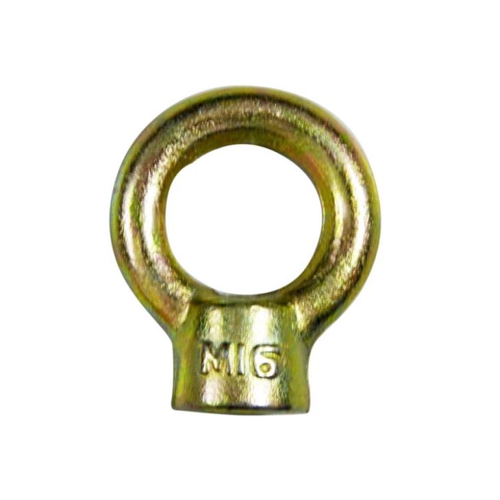 Popular Design for Stainless Steel Swivel Shackle -
 Galvanized JIS1169 Metric Eye Nuts – Rui De Tai