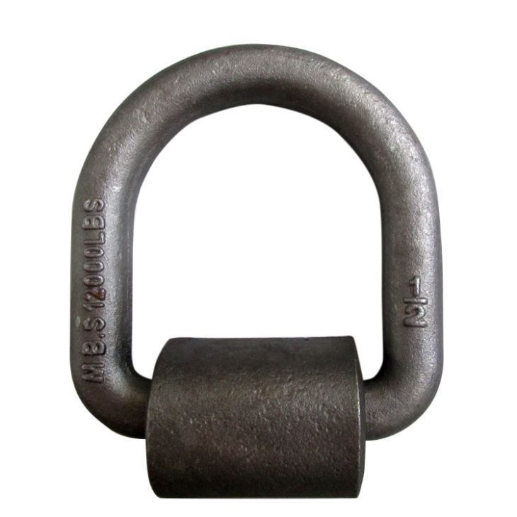 Professional Design 5/16 Galvanized Clevis Slip Hooks With Safety Latch - 3/8 Forged Cargo Weld on Lashing D Rings – Rui De Tai