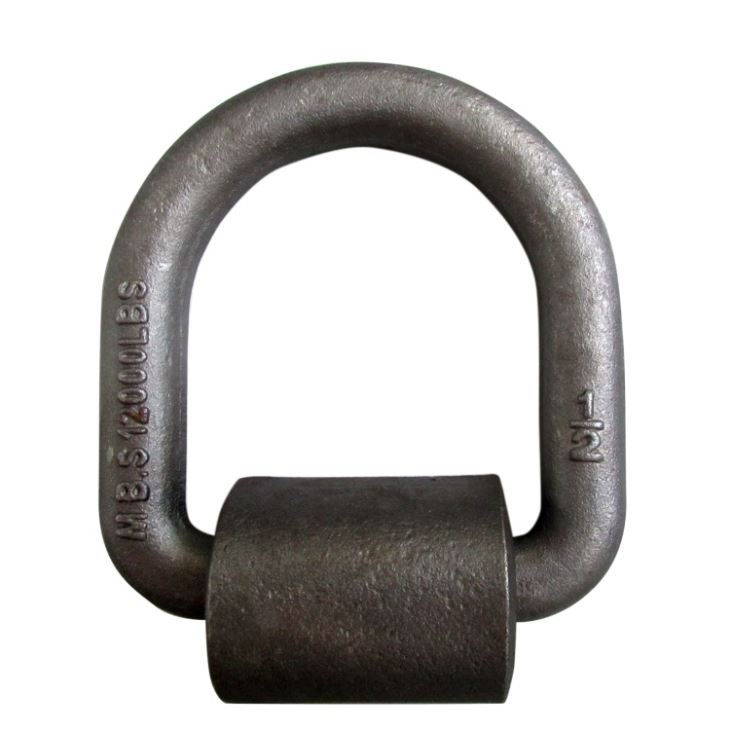 Best-Selling Stainless Steel Long D Shackles -
 3/8 Forged Cargo Weld on Lashing D Rings – Rui De Tai