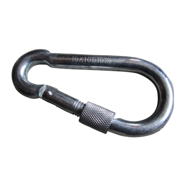 Well-designed Wire Rope Turnbuckle For Sale -
 Stainless Steel 304 Spring Snap Hook Carabiner with Screw Lock – Rui De Tai